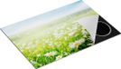 Chefcare Inductie Beschermer Bloemenveld van Madeliefjes - 75x55 cm