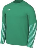 Nike Team Sweater Heren Dri-FIT Park V Stadium Groen - Maat M