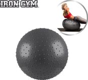 Iron Gym Exercise Massage Ball 65cm