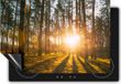 Chefcare Inductie Beschermer Zonsopkomst in het Bos tussen de Bomen - 90x55 cm