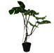 Unyqoos® Realistische kunstplant met gedraaid ontwerp en grote Monstera bladeren, groente, 60 cm