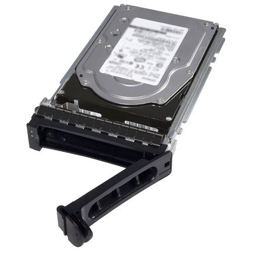 Dell 1TB SAS