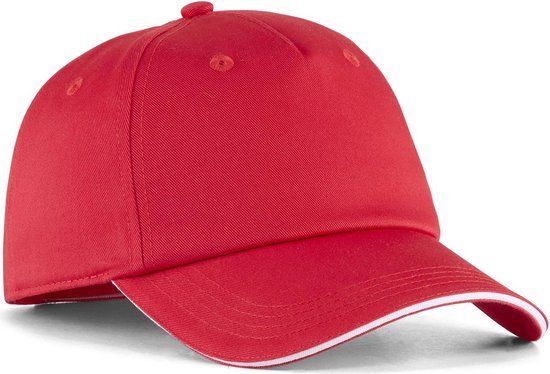 Puma Teamadditions Pet - Rood