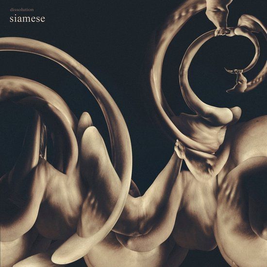Dissolution Siamese Dissolution LP