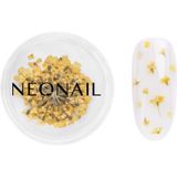 NeoNail Dried Flowers Gel en Acrylnagels 1 st