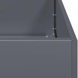 VidaXL Plantenbak 40x80x80 cm Staal Antraciet