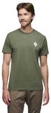 Black Diamond Equipment For Alpinists T-shirt Met Korte Mouwen Groen L Man