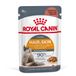 Royal Canin Alimentation Intense Beauty 85 g