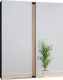 Vicco Gloria Badkamerspiegelkast – 70.4 x 84 cm met 2 deuren Antraciet