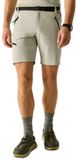 Regatta Xert Stretch Korte Broek Beige 58 / Regular Man