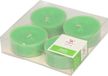 Trend Candles Maxi Bougies parfumées - Parfum pomme - Lot de 8