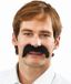 HAZA - Barbe blanche Moustache Tom noir