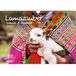 Lamazauber A3 kalender voor 2023 Lama Alpaca - Seelenzauber