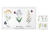 Set de 12 sets de table en PVC, assorti, 45 x 30 cm