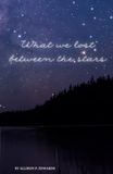What Icecat What we lost between the stars