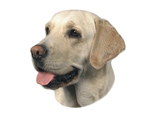 Nobby Sticker Labrador lichtgeel 12 x 3,5 cm