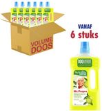 Mr. Propre Vloeibare Allesreiniger - Voor De Vloer - Met Bergamot Met Essentiële Oliën - Voordeelverpakking 6 x 1 L