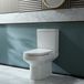 Hudson Reed Toilet Duoblok Moderne avec Bouton de Chasse Noir et Soft-Close | 38,5 x 62,5 cm
