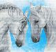 The Stitch Company Borduurpakket Horse Prayer Wit/Taupe/Grijs/Zwart