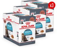 Royal Canin Urinary Care in Gravy - 36 x 85 g
