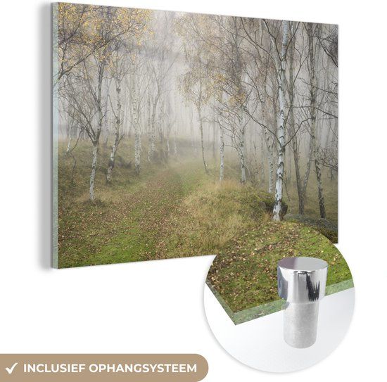 MuchoWow® Glass Painting 150x100 cm - Acrylic Glass Painting - View of Several Rough Birches - Photo on Glass - Paintings