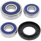 ALL BALLS Racing 25-1272 Achterwiel lager- en afdichtset
