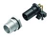 Binder 99-3441-202-05 M12 Kabelconnector Mannelijk IP68 60V 4A 5-polig