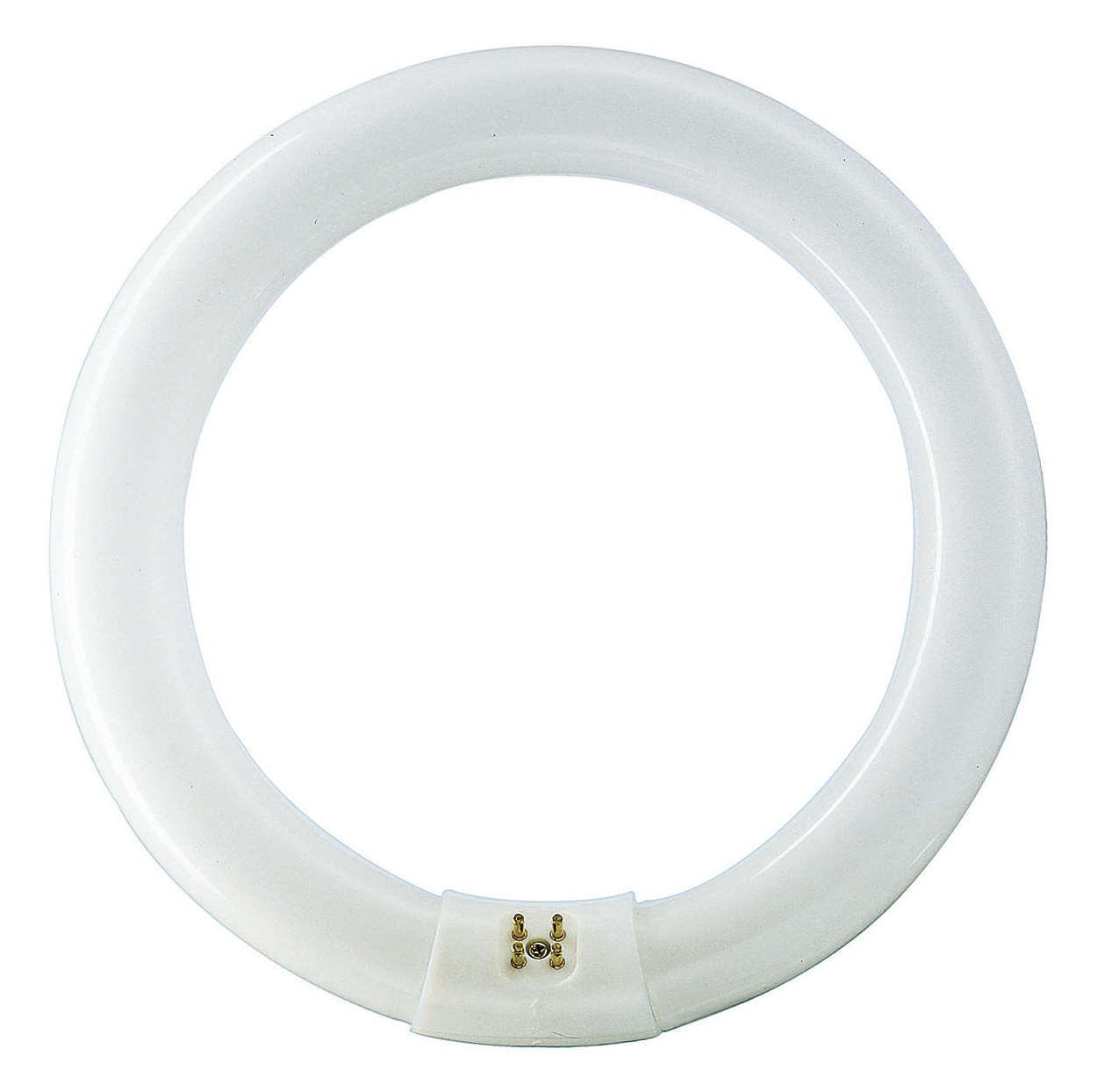 Philips MASTER TL-E Circular - 22W - 6500K - G10Q - 1250lm - Koel Daglicht