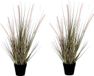 Mica Decorations Groene Dogtail/siergras kunstplant 53 cm in zwarte pot - 2x