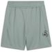 PUMA jongens Active Sports Graphic Poly Shorts B