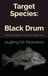 Target Species: Black Drum: Unlocking the Secrets of America's Coastal Giants
