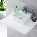 Hudson Reed Lavabo suspendu - Carré - 28 cm - Monotrou - Mural Moderne