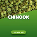 Chinook Pellets Houblon 1 kg