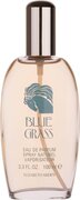 Elizabeth Arden Blue Grass eau de parfum / 100 ml / dames