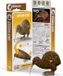 EUGY 3D Puzzel - Kiwi - Vogels - Duurzaam - Verzamel Ze Allemaal - 6 Jaar