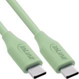InLine USB-C naar USB-C Kabel 100W 2m Matcha Latte/Groen