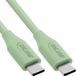 InLine USB-C naar USB-C Kabel 100W 2m Matcha Latte/Groen