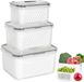 Ibenzoa® Set de boîtes de conservation pratiques pour le stockage des fruits et légumes au réfrigérateur, sans BPA, avec passoire et couvercle