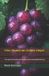 Vino Escuela del Espíritu Vino Nuevo en Odres Viejos Paperback
