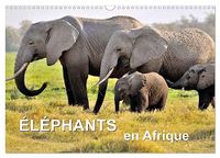 Éléphants Calvendo Éléphants en Afrique (Calendrier mural 2027 DIN A3 vertical), CALVENDO calendrier mensuel