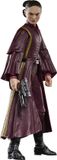 Hasbro Star Wars Episode I Black Series Action Figure Padmé Amidala 15 cm
