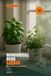 Windowsill Herb Garden: Basil, mint, and cooking herbs that survive indoor light