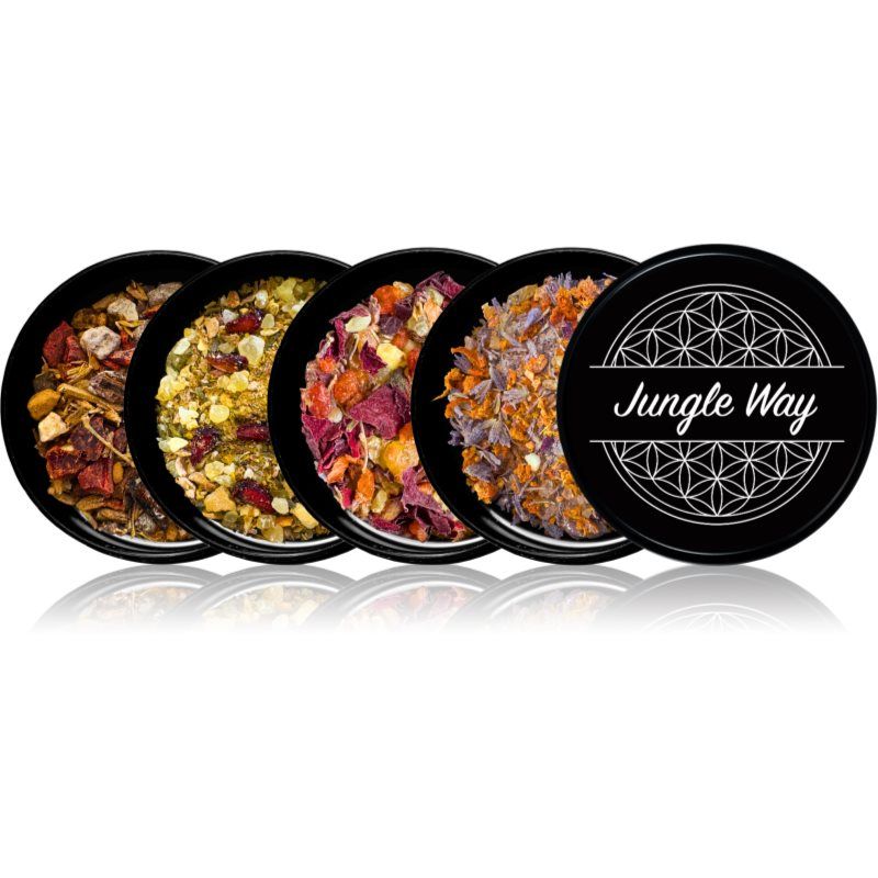 Jungle Way Discovery set