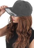 Flexfit 110 Fitted Snapback darkgrey one size Snapback Pet - Grijs
