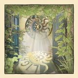 Light Solstice - Light Up (CD)