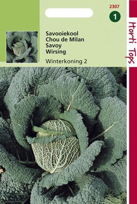Hortitops Savooiekool Winterkoning 3