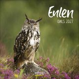 Eulen 2027: Broschürenkalender mit Ferienterminen. Eulen, Jäger der Nacht. 30 x 30 cm