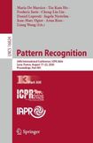 Pattern Recognition: 28th International Conference, ICPR 2026, Lyon, France, August 17–22, 2026, Proceedings, Part XIII