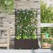 Maison Exclusive - 2 jardinières d'extérieur, couleur marron, dimensions 80 x 40 x 143 cm, en plastique PP