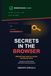 Secrets Icecat Secrets in the Browser: Detecting and Remediating Client-Side Credential Exposure